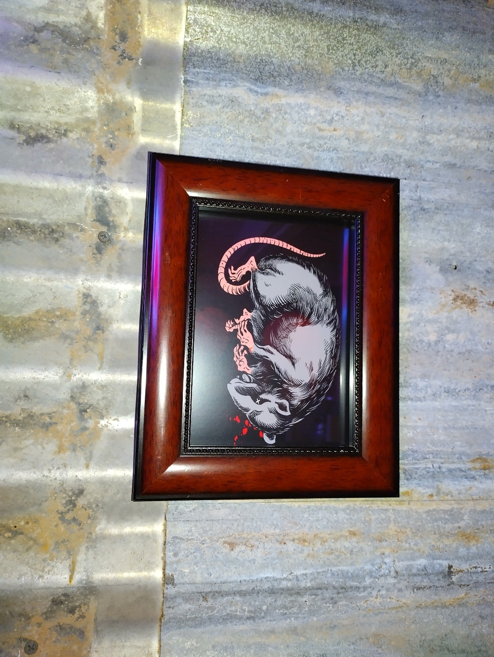 Dead Rat Art Print